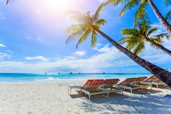 Güzel sahil ve tropikal deniz