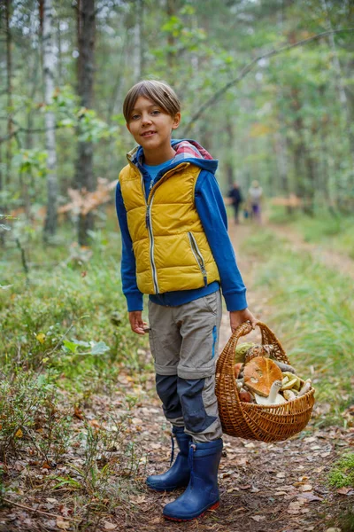可爱的男孩，在森林里发现的野生蘑菇 — 图库照片