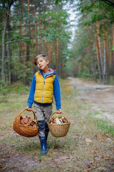 Sevimli çocuk ormanda bulunan yabani mantar ile