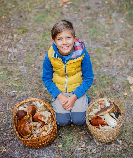 Carino ragazzo con fungo selvatico trovato nella foresta — Foto Stock
