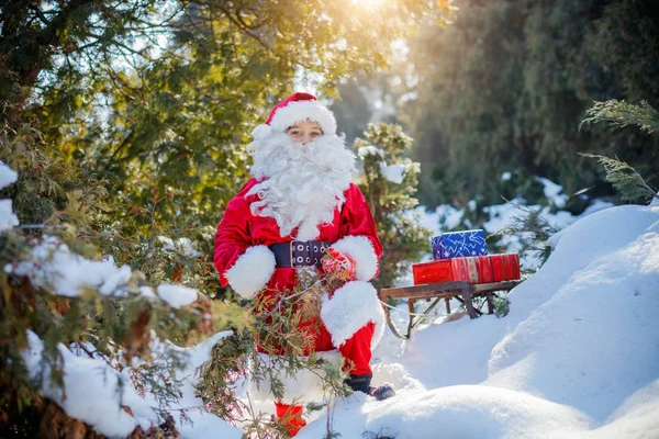 Little Santa carrying a gifts through a winter forest — Stock Photo, Image