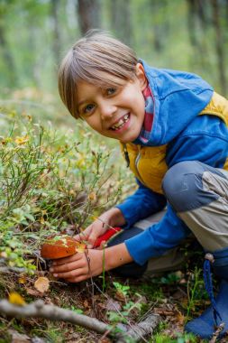 Çocuk ormanda bulunan yabani mantar ile