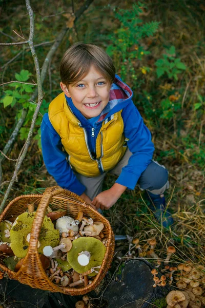 Sevimli çocuk ormanda bulunan yabani mantar ile