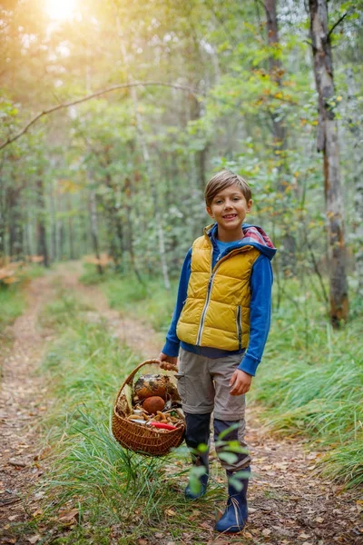 Schattige jongen met wilde paddenstoelen gevonden in het bos — Stockfoto