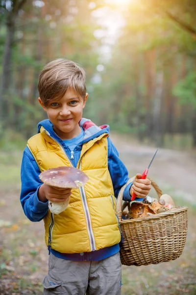Rapaz bonito com cogumelo selvagem encontrado na floresta — Fotografia de Stock