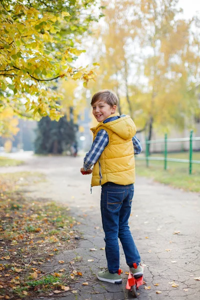 Aranyos kis kölyök fiú élvezi az őszi park. — Stock Fotó