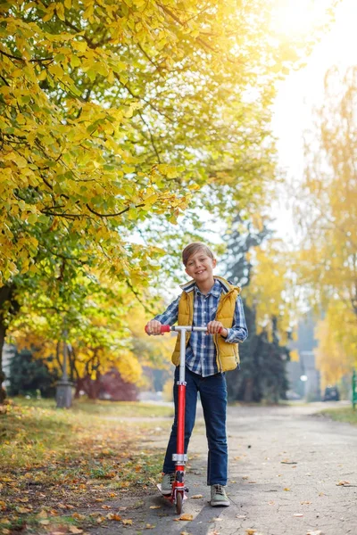 Χαριτωμένο μικρό αγόρι παιδί απολαμβάνει στο πάρκο φθινόπωρο. — Φωτογραφία Αρχείου