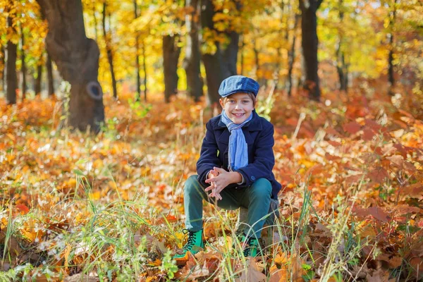 Schattige kleine jongen jongen genieten in herfst park. — Stockfoto