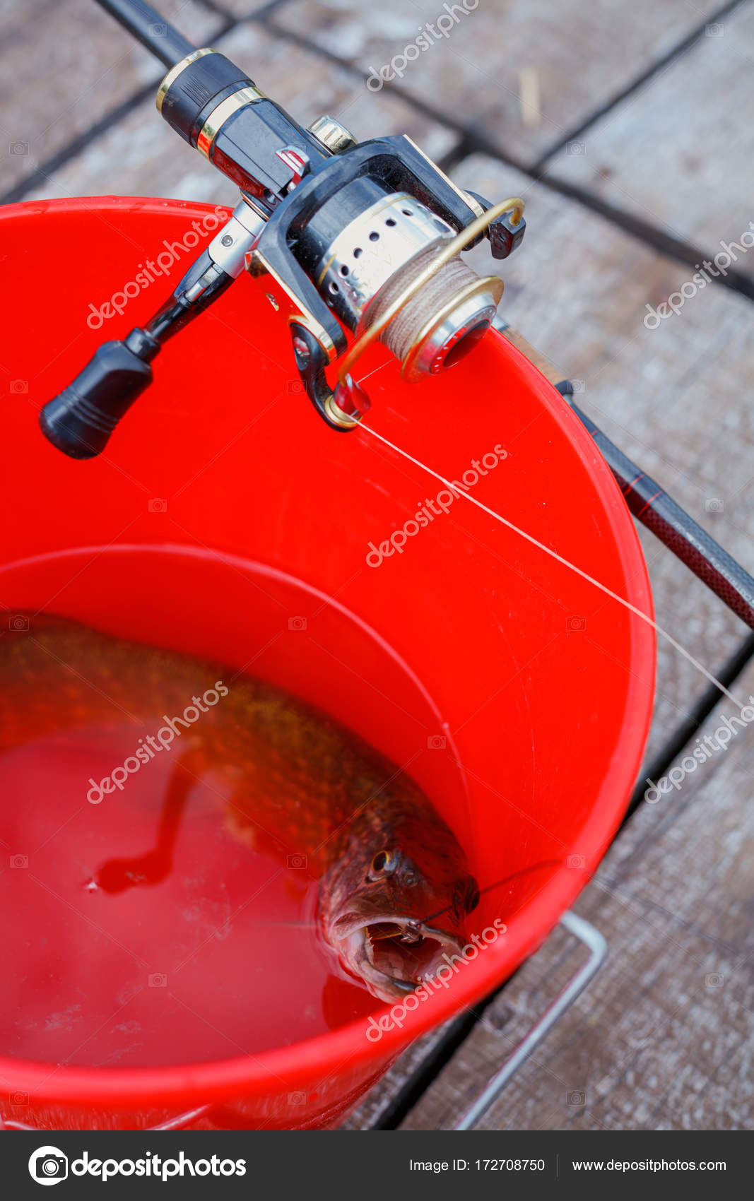 pike spinning rod and reel