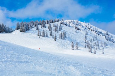 Avusturya Alpleri'nde kış