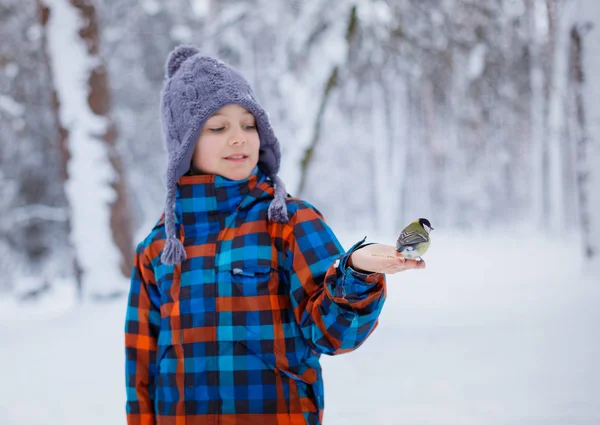 Niño alimenta a un titmouse con sus manos en el bosque de invierno —  Fotos de Stock