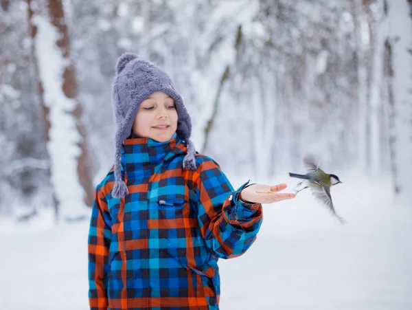 Gyermek táplálja a titmouse a téli erdő a kezével — Stock Fotó