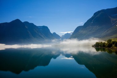 Norveç Fiyordu dağlar ve su üzerinde asılı sis ile