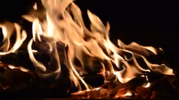 Heiße Kohlen Und Flammen Brennenden Lagerfeuer — Stockvideo