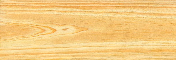 Wood pine texture