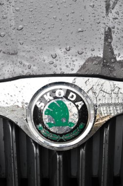 Skoda Chrome logosu