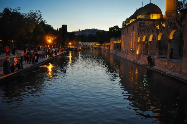 Santo lago di pesce Sanliurfa Turchia — Foto Stock