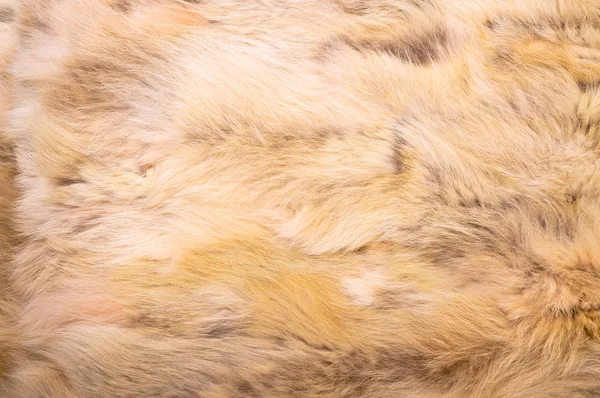 Натуральная текстура меха — стоковое фото