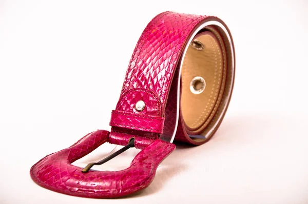 Snake skin belt — Stock Photo, Image