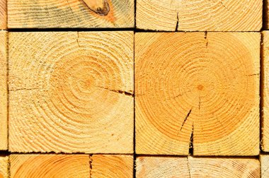 Çam kereste yığılmış