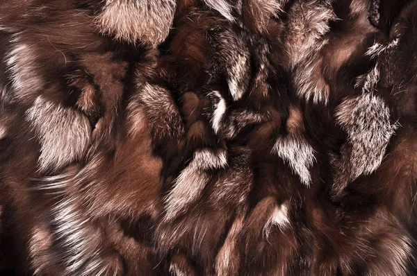 Natural fur texture — Stock Photo, Image