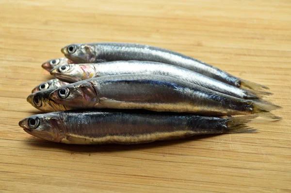 Frischer Hamsi-Fisch — Stockfoto