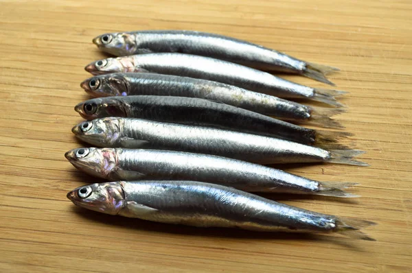 Fresh hamsi fish — Stock Photo, Image