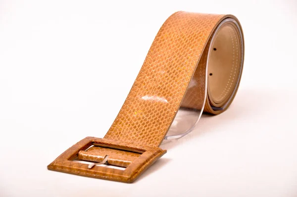 Snake skin belt — Stock Photo, Image