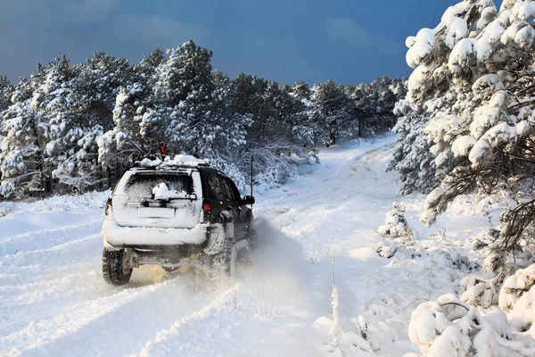 SUV on snow — Stock Photo, Image