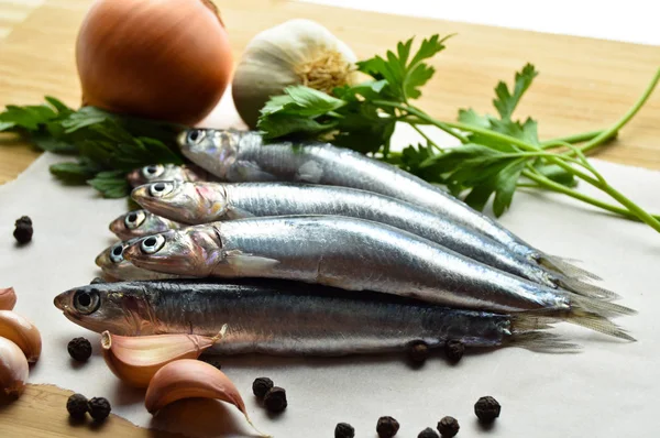 Frischer Hamsi-Fisch — Stockfoto