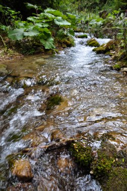 Sakince akan, temiz ve kristal nehir temizleyin