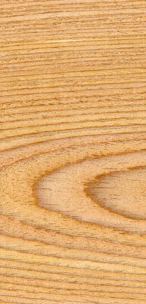 Wood grain texture. Oak wood, can be used as background.