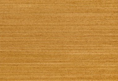 Ahşap tahıl doku. Meşe ahşap arka plan olarak kullanılabilir.