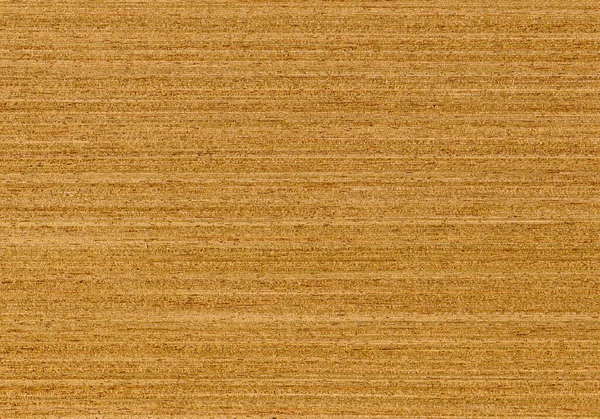 Holzmaserung Textur Eichenholz Kann Als Hintergrund Verwendet Werden — Stockfoto