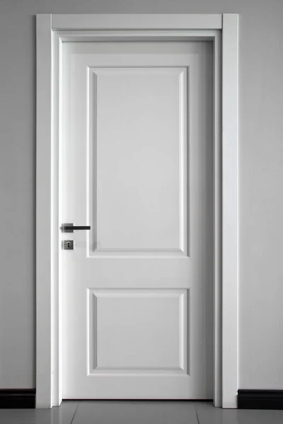 Porta Madeira Dianteira Moderna Interior Casa — Fotografia de Stock