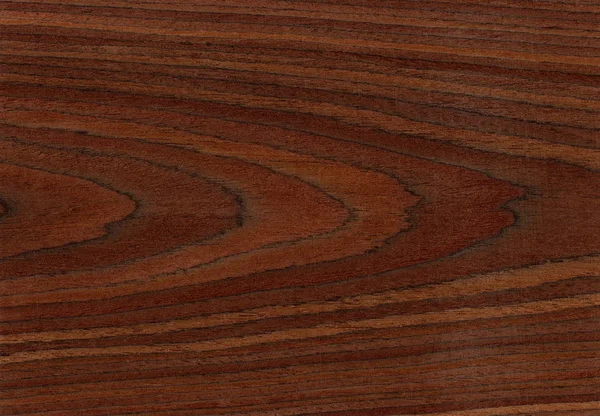Diófa, háttérként használható, fa szemcse textúra — Stock Fotó