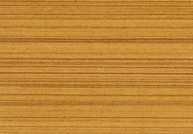 Meşe ağacı, arka plan olarak kullanılabilir, ahşap tahıl dokusu