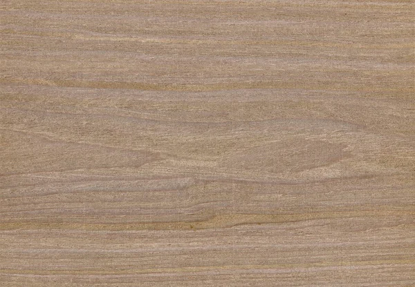 Teca de madeira, pode ser usado como fundo, textura de grão de madeira — Fotografia de Stock