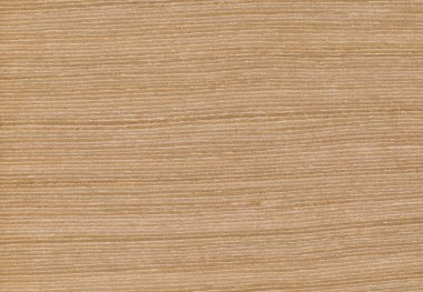 Meşe ağacı, arka plan olarak kullanılabilir, ahşap tahıl dokusu