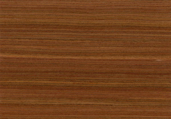 Pelesenk wood, can be used as background, wood grain texture — 스톡 사진