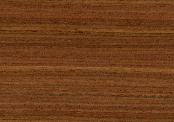 Pelesenk dřevo, může být použit jako pozadí, dřevo zrna textury — Stock fotografie