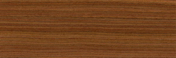 Pelesenk wood, can be used as background, wood grain texture — 图库照片