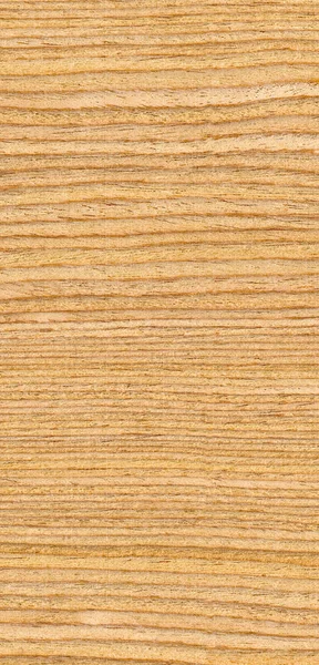 Drewno dębowe, może być stosowane jako tło, tekstura ziarna drewna — Zdjęcie stockowe