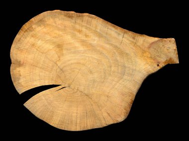 Walnut wood log, can be used as background, wood grain texture