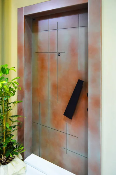 Modern wooden looking steel door, front door — Stockfoto