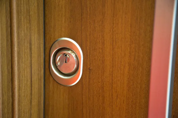 Modern wooden looking steel door, security lock system — Stok fotoğraf