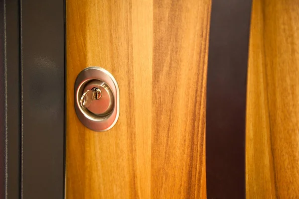 Modern wooden looking steel door, security lock system — Stok fotoğraf