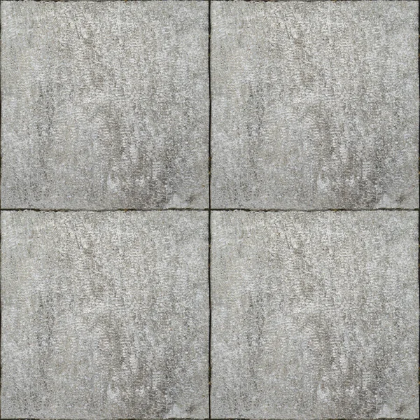 Gray colored square paving stone, tiled stone