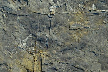 Çok sert kaya dokusu, doğal taş dokusu