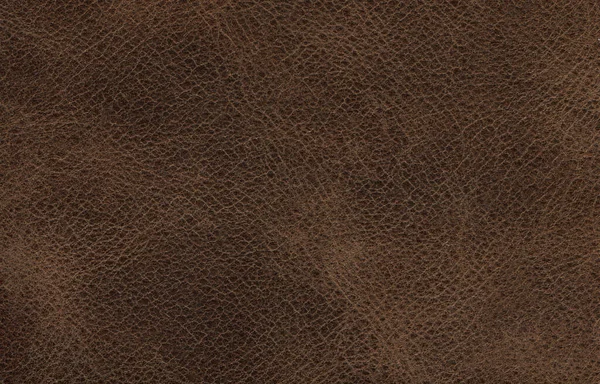 Genuine cowhide texture close up, useful as background for any design work